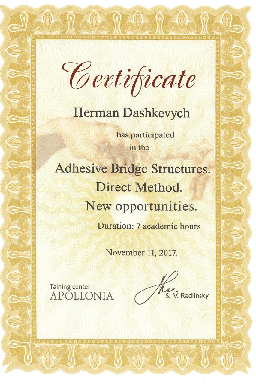 Adhesive bridge constructions. New possibilities